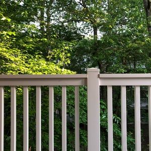 Meet your Posher, Judy